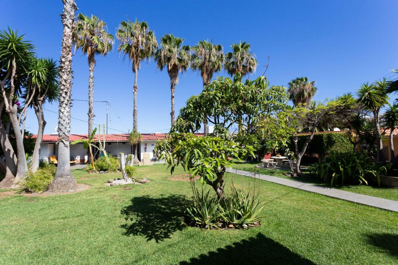 Finca La Gaviota - Las Palmeras Icod De Los Vinos Exteriér fotografie