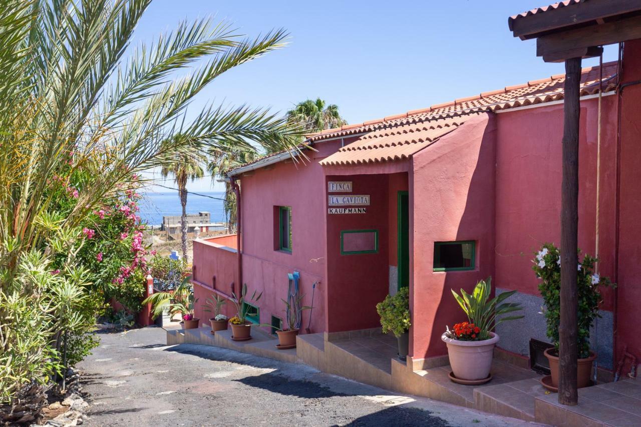 Finca La Gaviota - Las Palmeras Icod De Los Vinos Exteriér fotografie